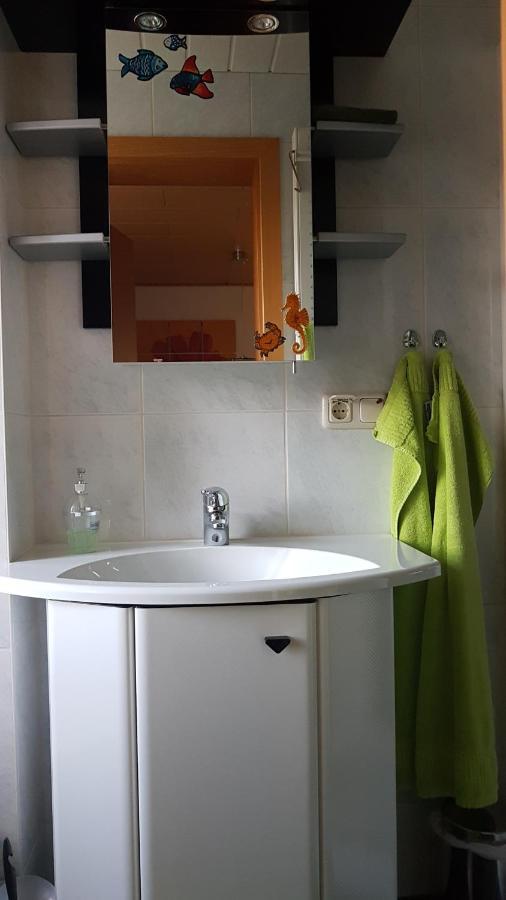 Ferienwohnung Mit Garten Und Spielplatz Klingenthal Luaran gambar